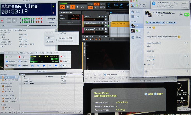 Nela's Bitwig Studio + Icecast set-up