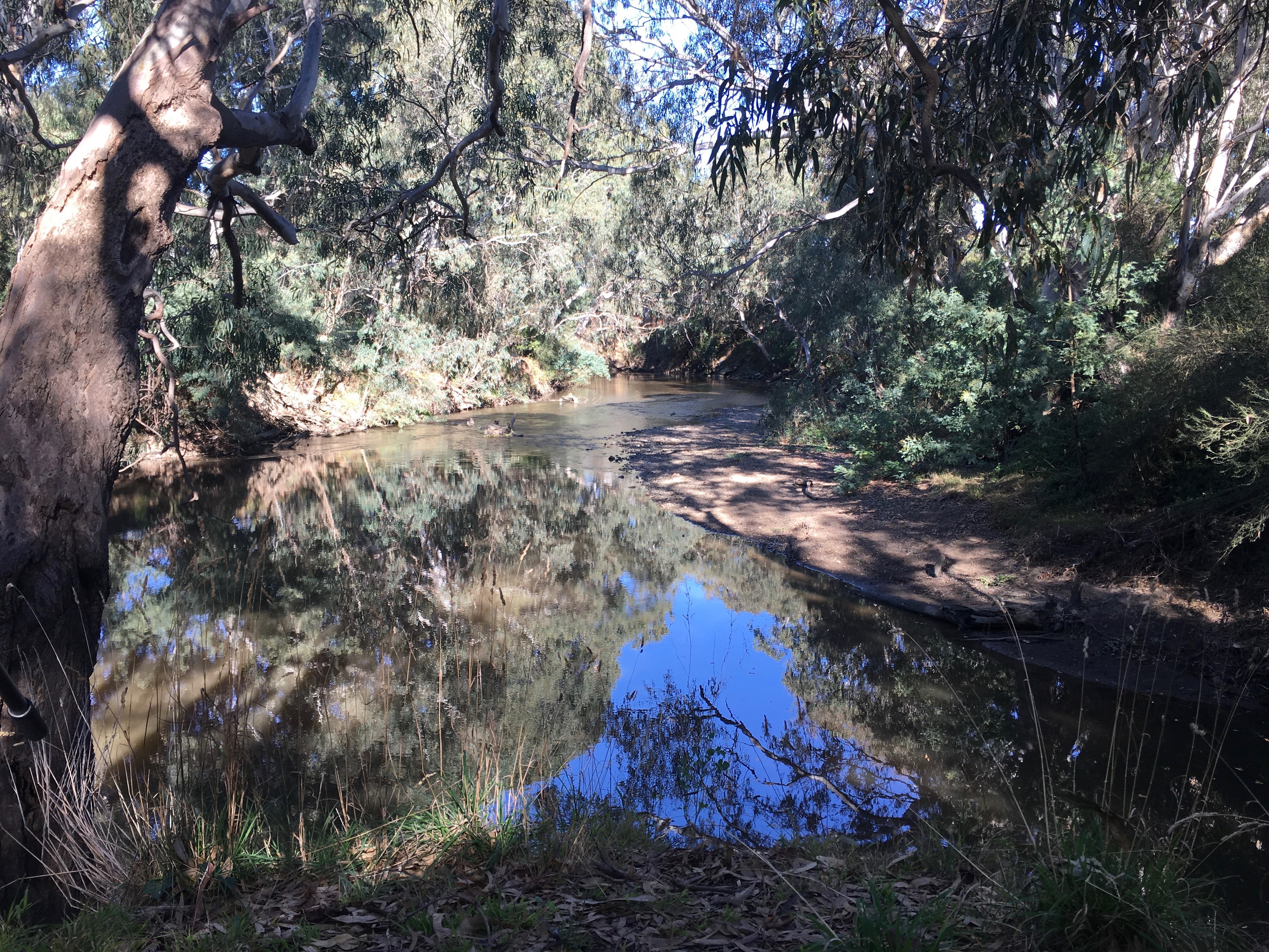 Female-Laptop-Orchestra-Macgeorge-House-Sessions-2019-Where-Yarra-Meets_Darebin