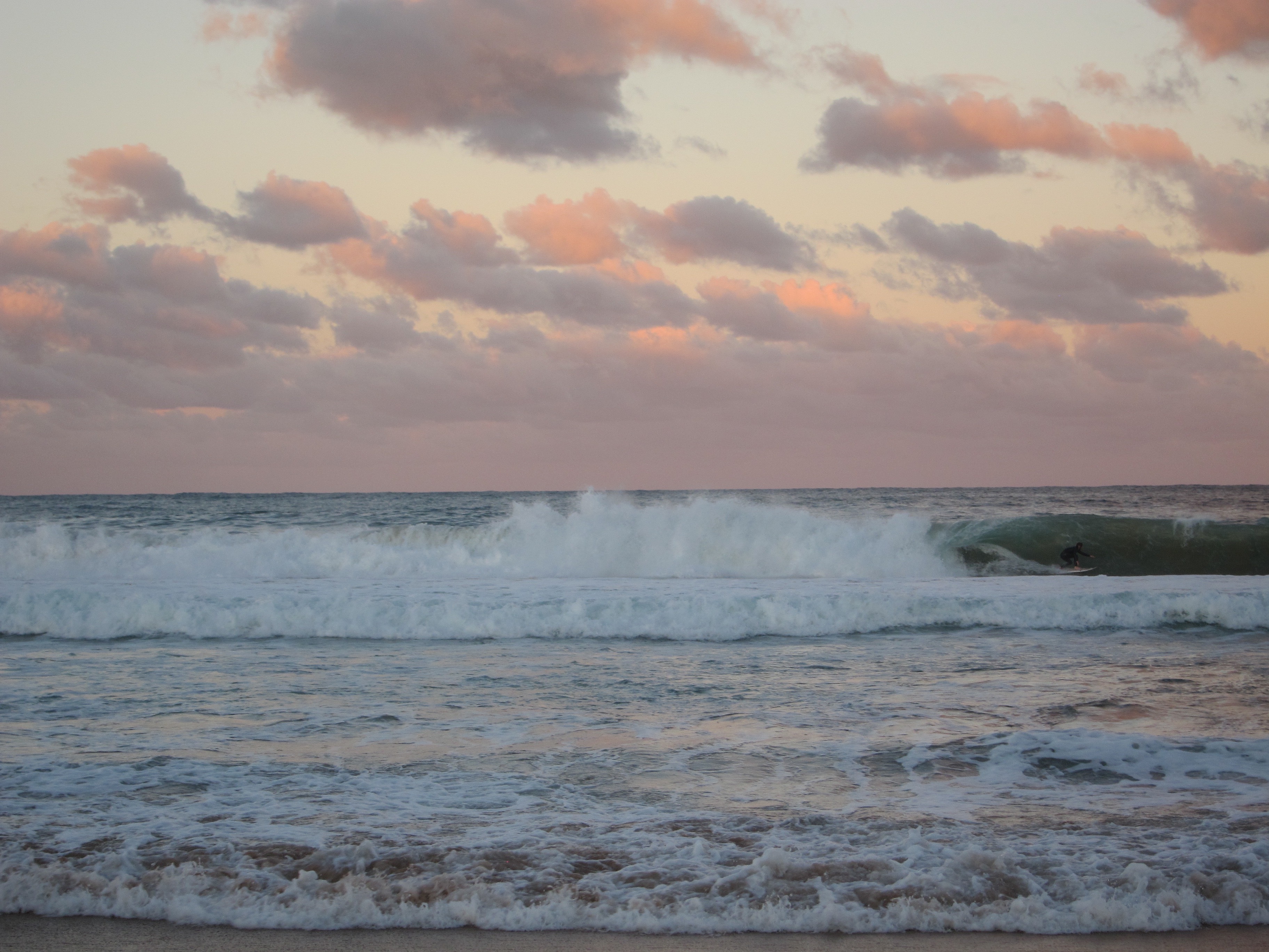 Dee-Why-Beach-Sydney-FLO+EO-concert-2019