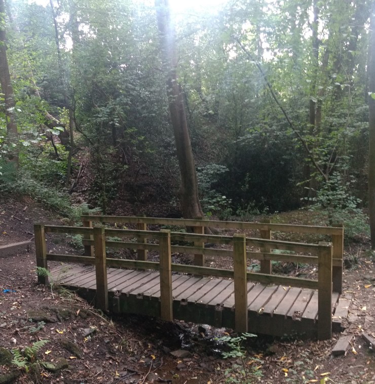 FLO-performance-Absurdity-Anna_Xambo_streaming_from_ancient_woodland_Norfolk_Heritage_Park_Sheffield copy