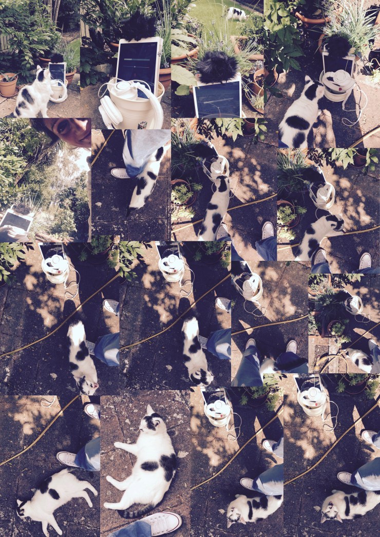 Nela_Brown-FLO-performance-Absurdity-28July2020